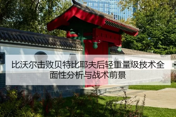 比沃尔击败贝特比耶夫后轻重量级技术全面性分析与战术前景