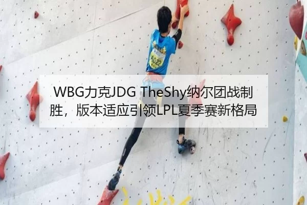 WBG力克JDG TheShy纳尔团战制胜，版本适应引领LPL夏季赛新格局
